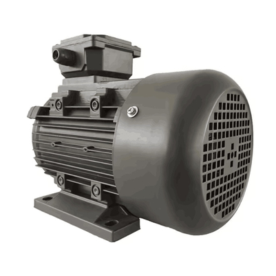 YE3-100L-2 IE3 Motor With Totally Enclosed Protect Feature 220/380/460V Voltage 0.12kw To 315kw